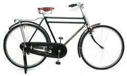 Picture of Flying Pigeon black bike