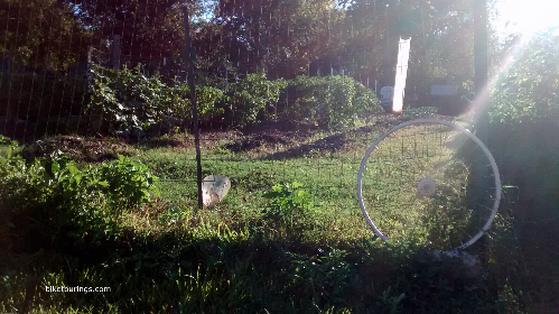 Picture of decorative bike wheel at community garden