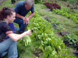 Picture of gathering farm fresh produce bike touring