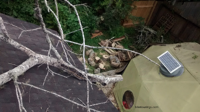 Picture of downed tree next to bike workshop