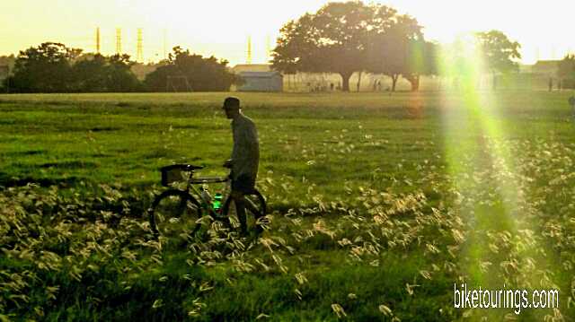 Picture of Bike Tourings' blog author walking touring bike through meadow